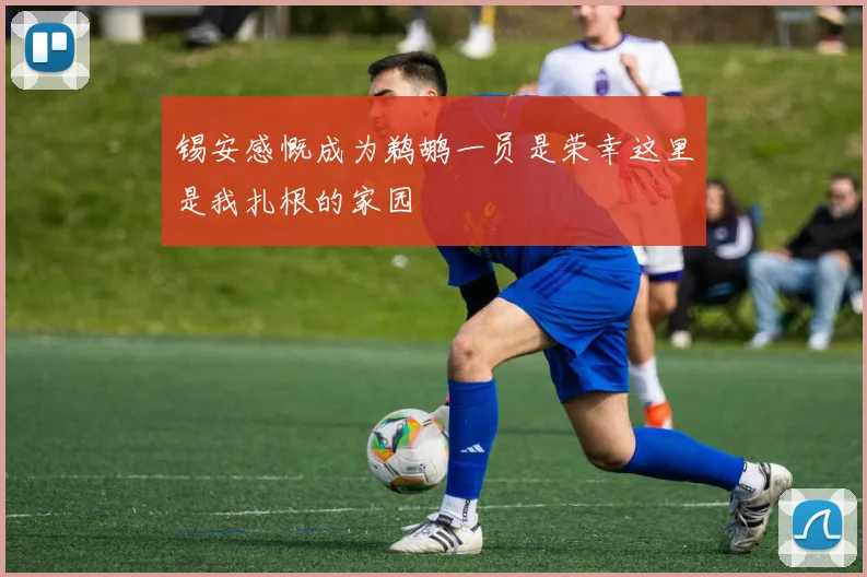 锡安感慨成为鹈鹕一员是荣幸这里是我扎根的家园