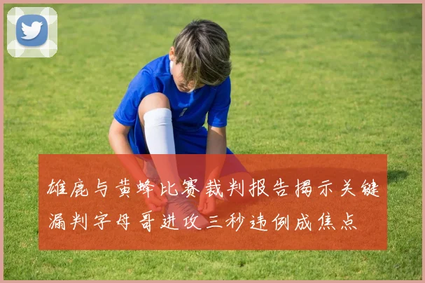 雄鹿与黄蜂比赛裁判报告揭示关键漏判字母哥进攻三秒违例成焦点