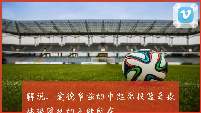 解说：爱德华兹的中距离投篮是森林狼团结的关键所在