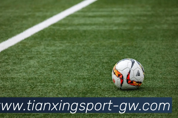 天行体育APP 封面图